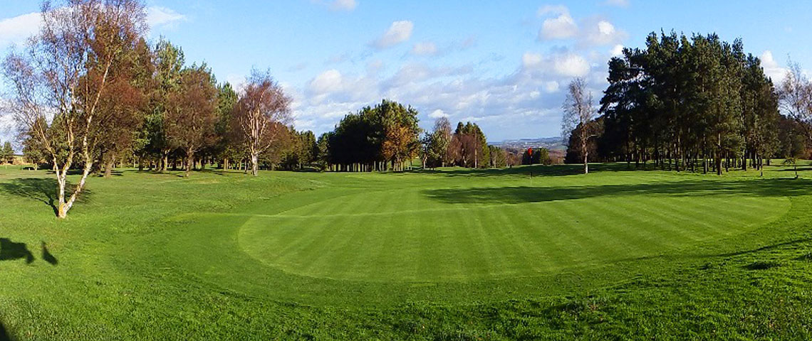 golf course green with trees