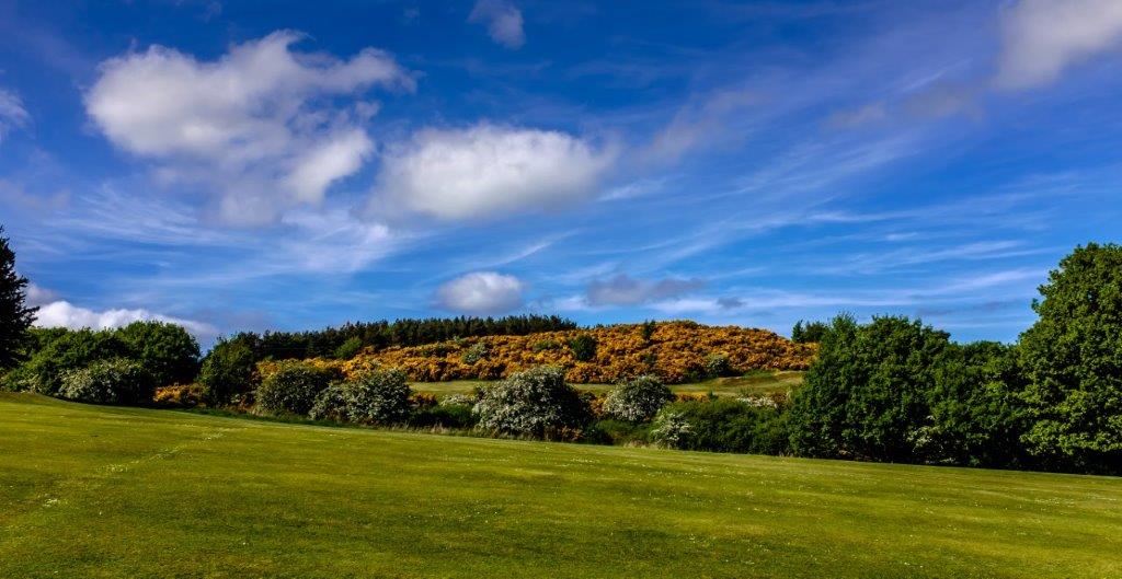 View of golf course with blue sky